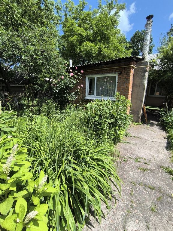 фото