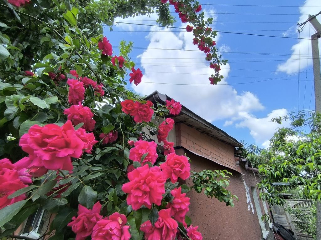 фото