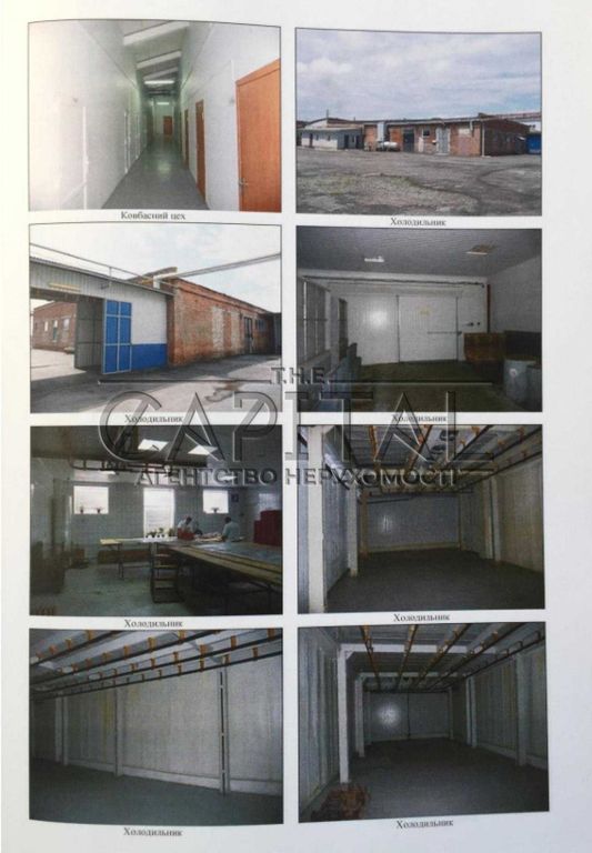 фото